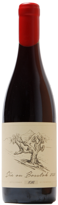 Die Ou Bosstok Cinsault, Anthonij Rupert, Franschhoek - Zuid Afrika