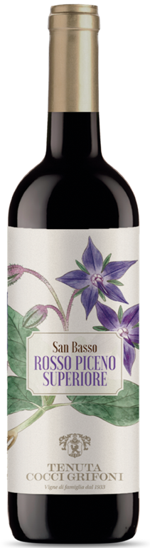 San Basso Rosso Piceno Superiore, Grifoni, Marken - Italië