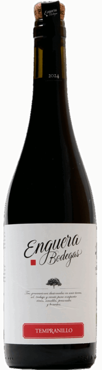 Bodegas Enguera Tempranillo, Valencia - Spanje