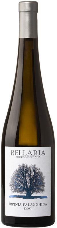 Bellaria Roccabascerana Falanghina, Campanië - Italië